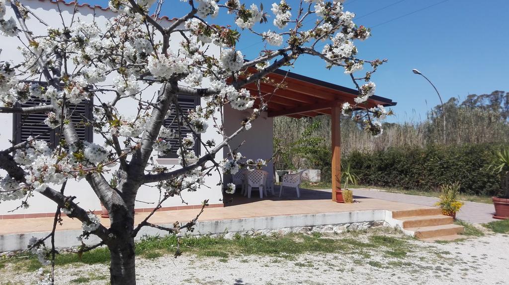 B&B Arcafelice Termoli Exterior foto